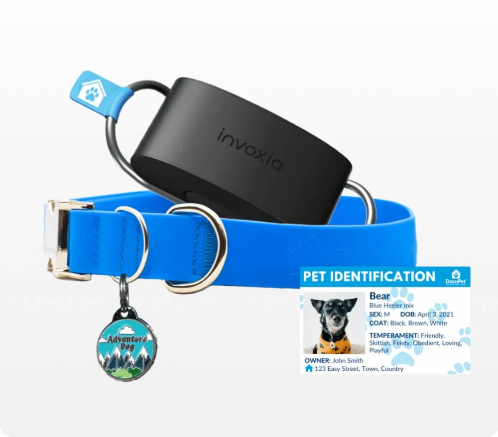 Tag, tracker and wallet card