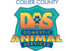 Domestic Animal Services